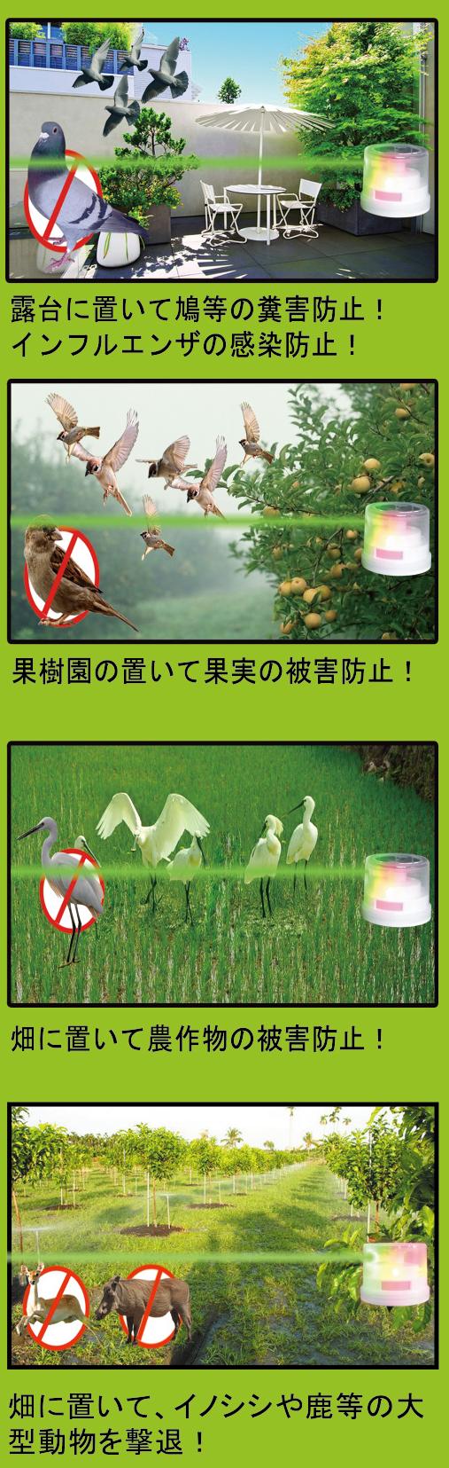 Solar Powered Green Laser Beam Bird/Pests Repeller