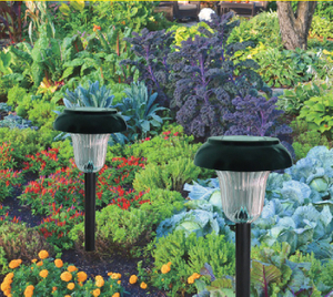 Solar Powered Garden Light With 1 Piece Bright LED
